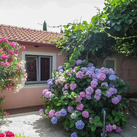 Prázdninový dům Catarina 1 - Zad113 By Interhome Zadar